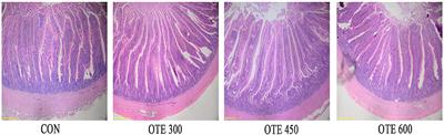 Low Level of Dietary Organic Trace Elements Improve the Eggshell Strength, Trace Element Utilization, and Intestinal Function in Late-Phase Laying Hens